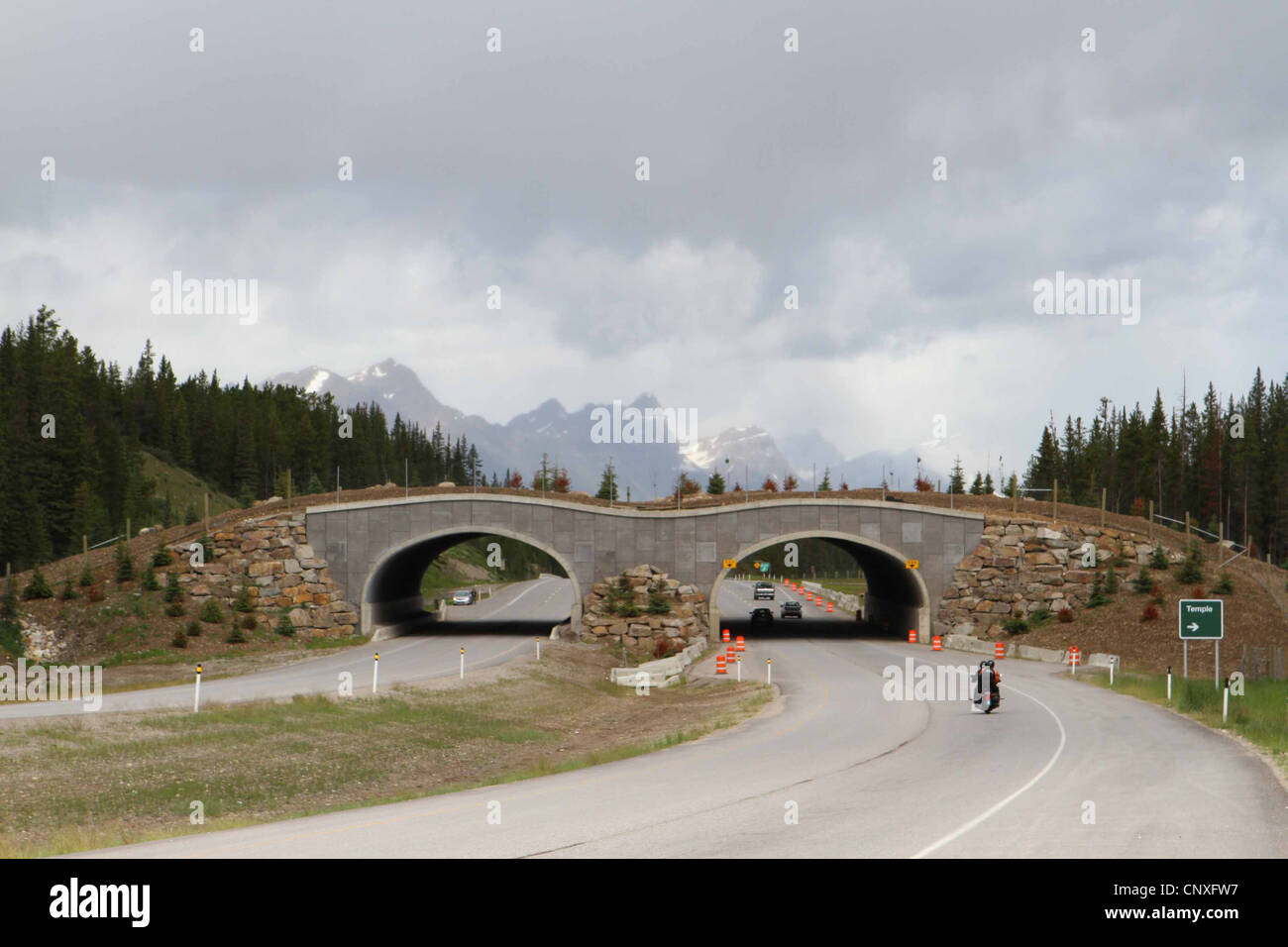 Passage à niveau de la faune, le parc national Banff, Alberta canada Banque D'Images