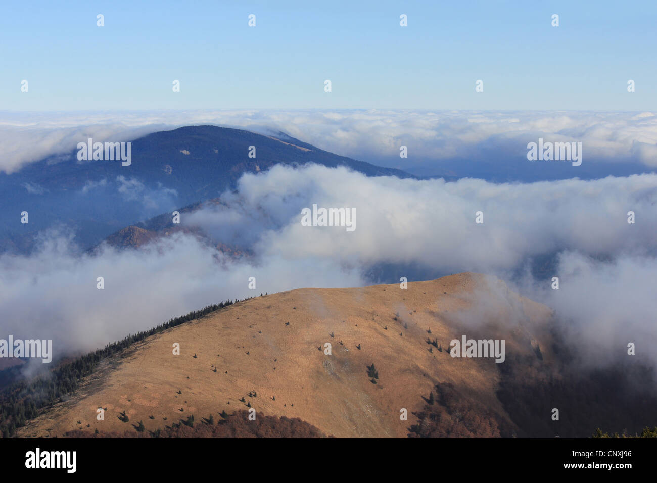 Vue depuis Stoh découlant de brouillard dans les montagnes Mala Fatra, la Slovaquie, le Parc National de Mala Fatra Banque D'Images