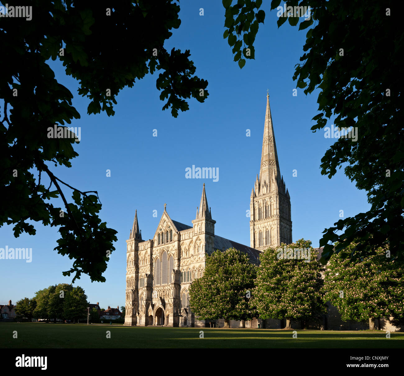 La cathédrale de Salisbury, Salisbury, Wiltshire, Angleterre. Printemps (mai) 2011. Banque D'Images