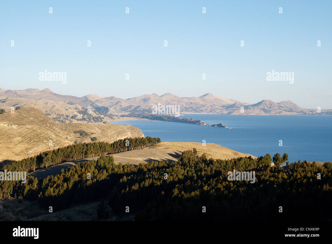 Lac Titicaca avec Isla del Sol , La Bolivie, les Andes Banque D'Images