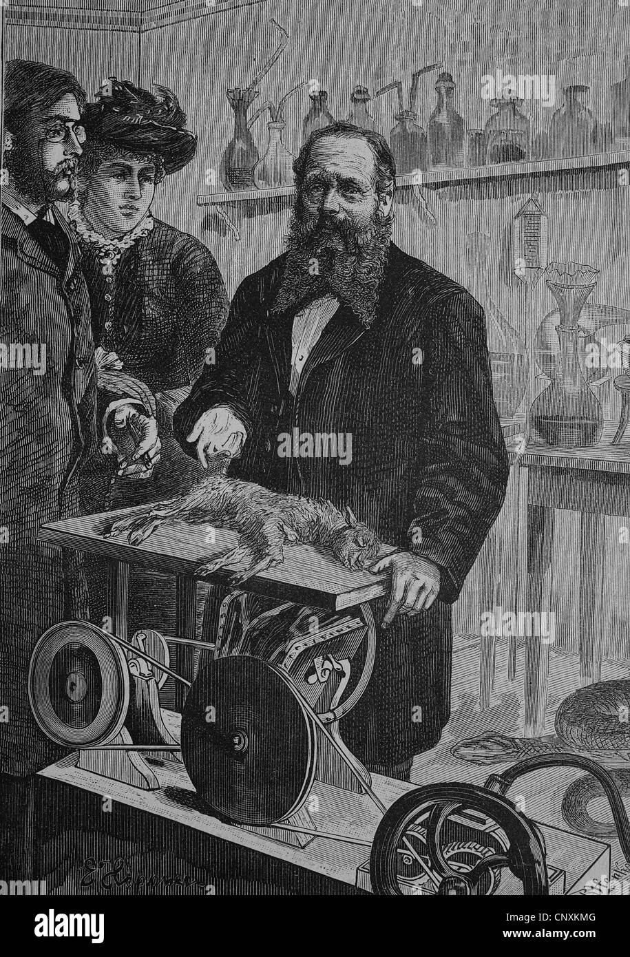 Dans le laboratoire avec J. Wickersheimer, 1832 - 1896, chimiste, taxidermiste, développeur d'une méthode pour conserver des cadavres, histor Banque D'Images
