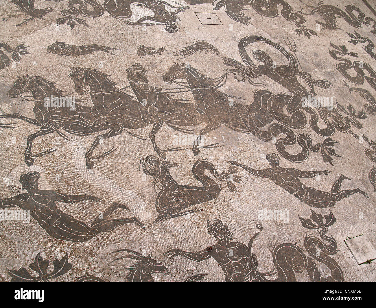 Carreau de sol de mosaïques romaines Neptune circonscription quatre chevaux,Ostie,Rome Banque D'Images