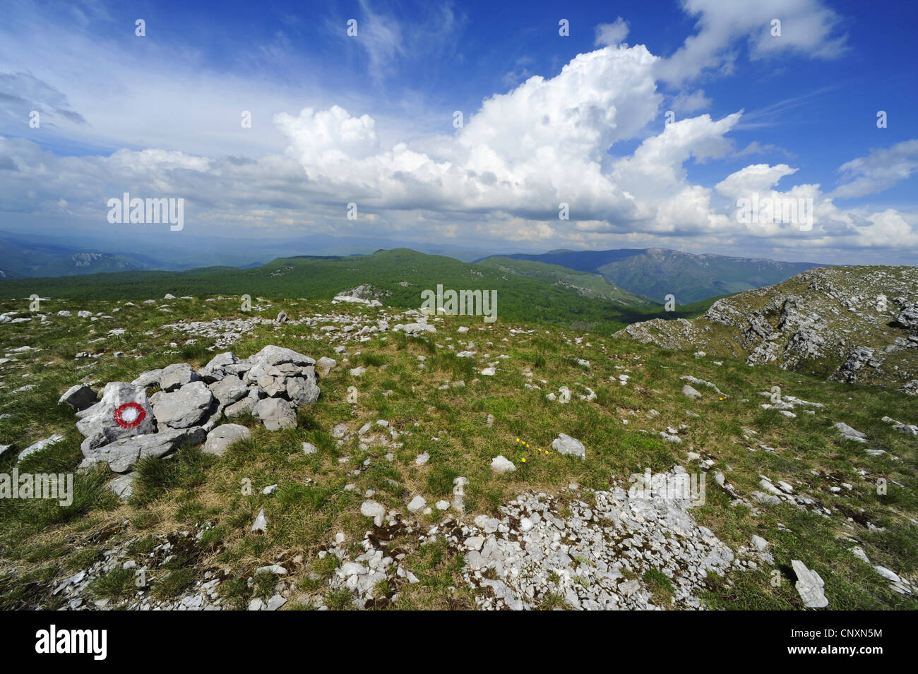 Chemin de trekking dans le massif du Velebit Parc Natur, la Croatie, le massif du Velebit Banque D'Images