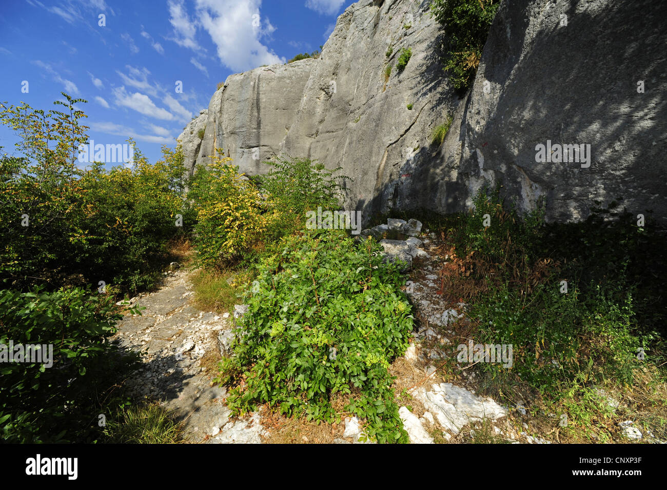 Fomation de calcaire, la Croatie, Istrie Banque D'Images
