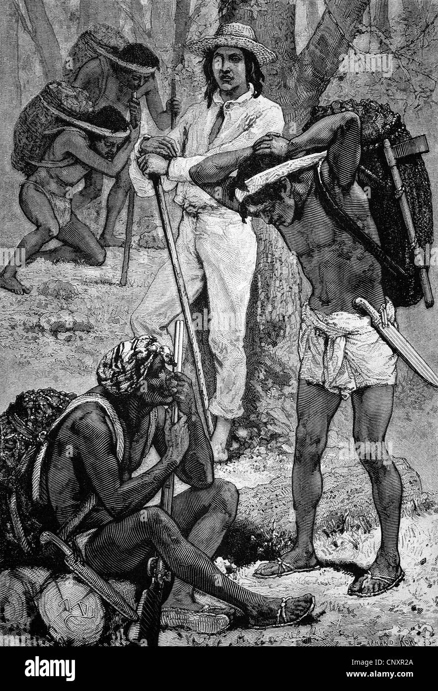 Cueilleurs de caoutchouc de l'Inde, la Nouvelle Grenade, l'Amérique du Sud, la gravure de 1883 historique Banque D'Images