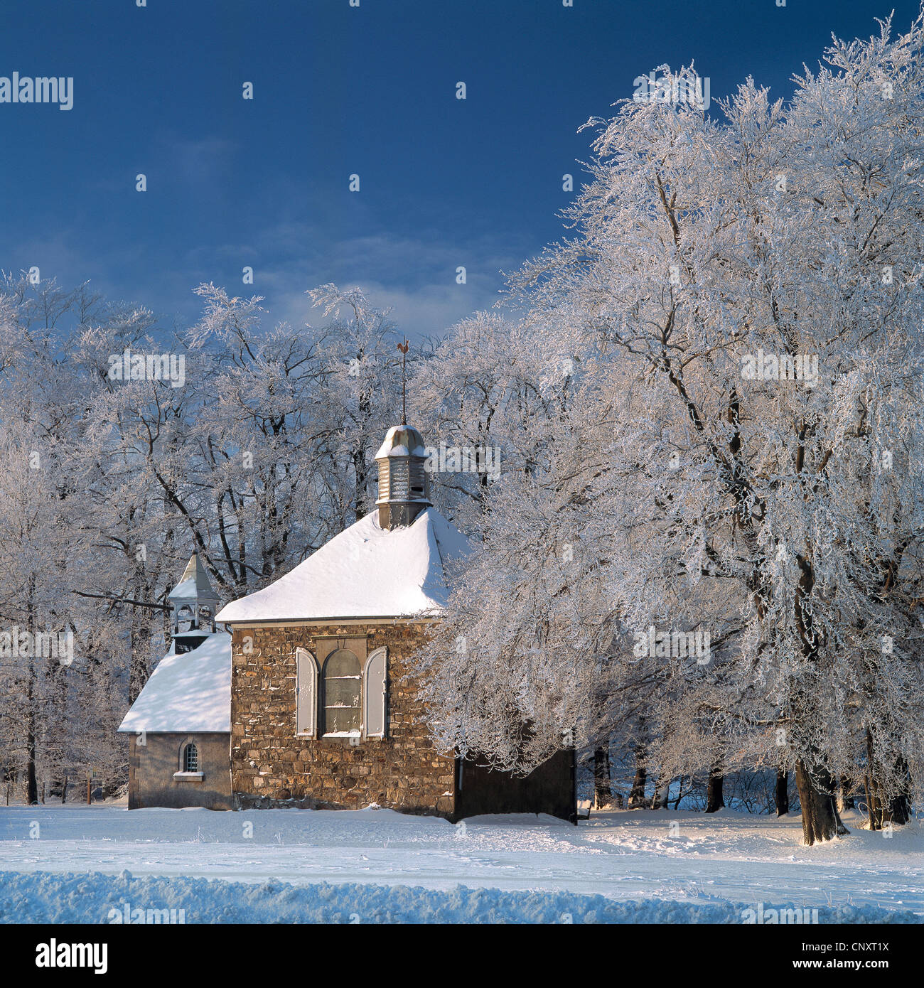 Chapelle Fischbach et les arbres recouverts de neige en hiver à Baraque Michel, Hautes Fagnes / Hautes Fagnes, Ardennes Belges, Belgique Banque D'Images