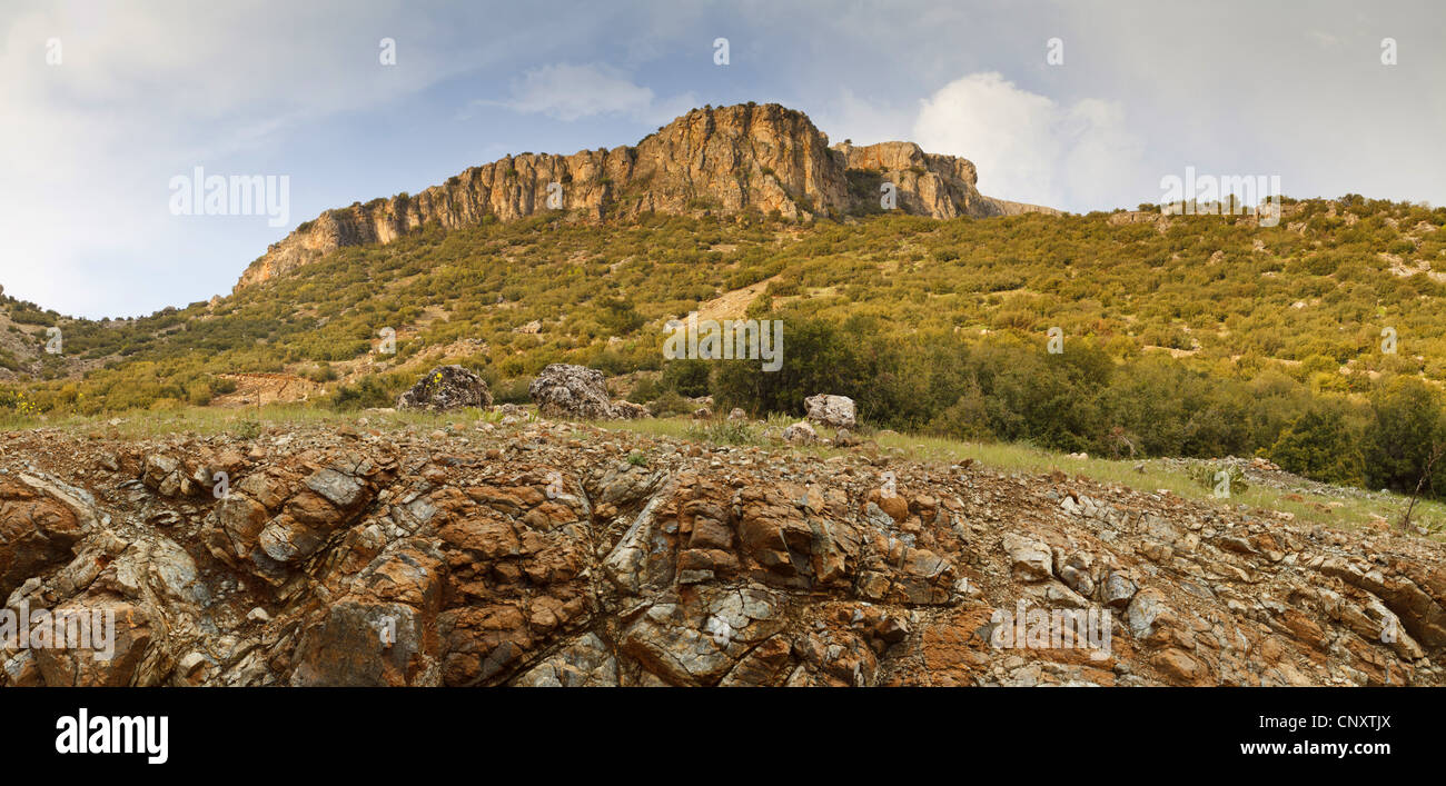 Bush et des déchets paysage rock, Turquie, Gaziantep, Durnalik Banque D'Images