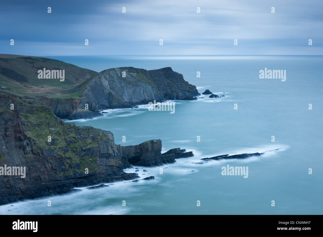 Cliffs, près de Hartland Point dans le Nord du Devon, Angleterre. Printemps (avril) 2012. Banque D'Images
