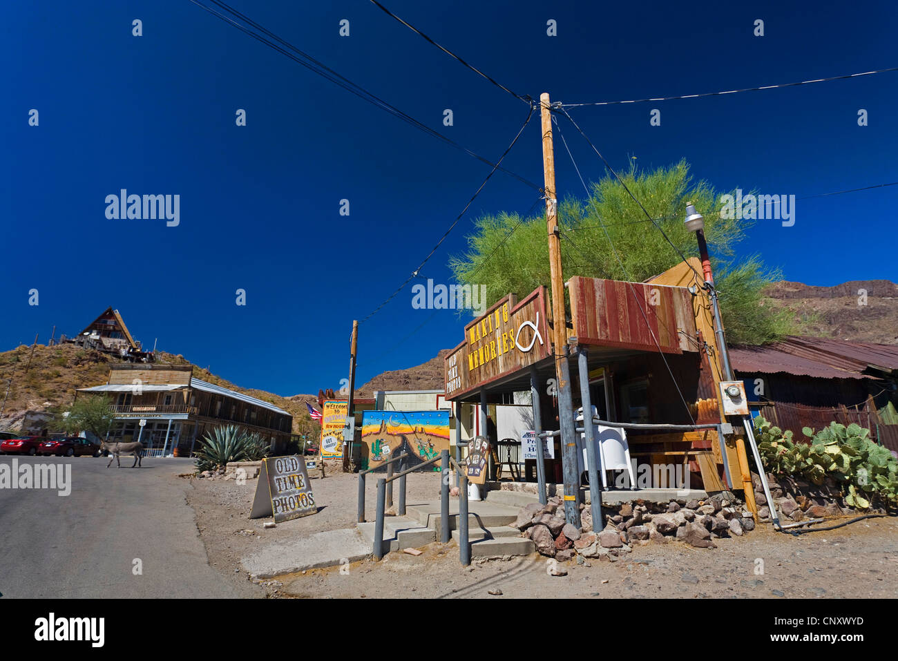 Dans la rue ville minière Oatman à côté de l'historique Route 66, USA, Arizona, Oatman Banque D'Images