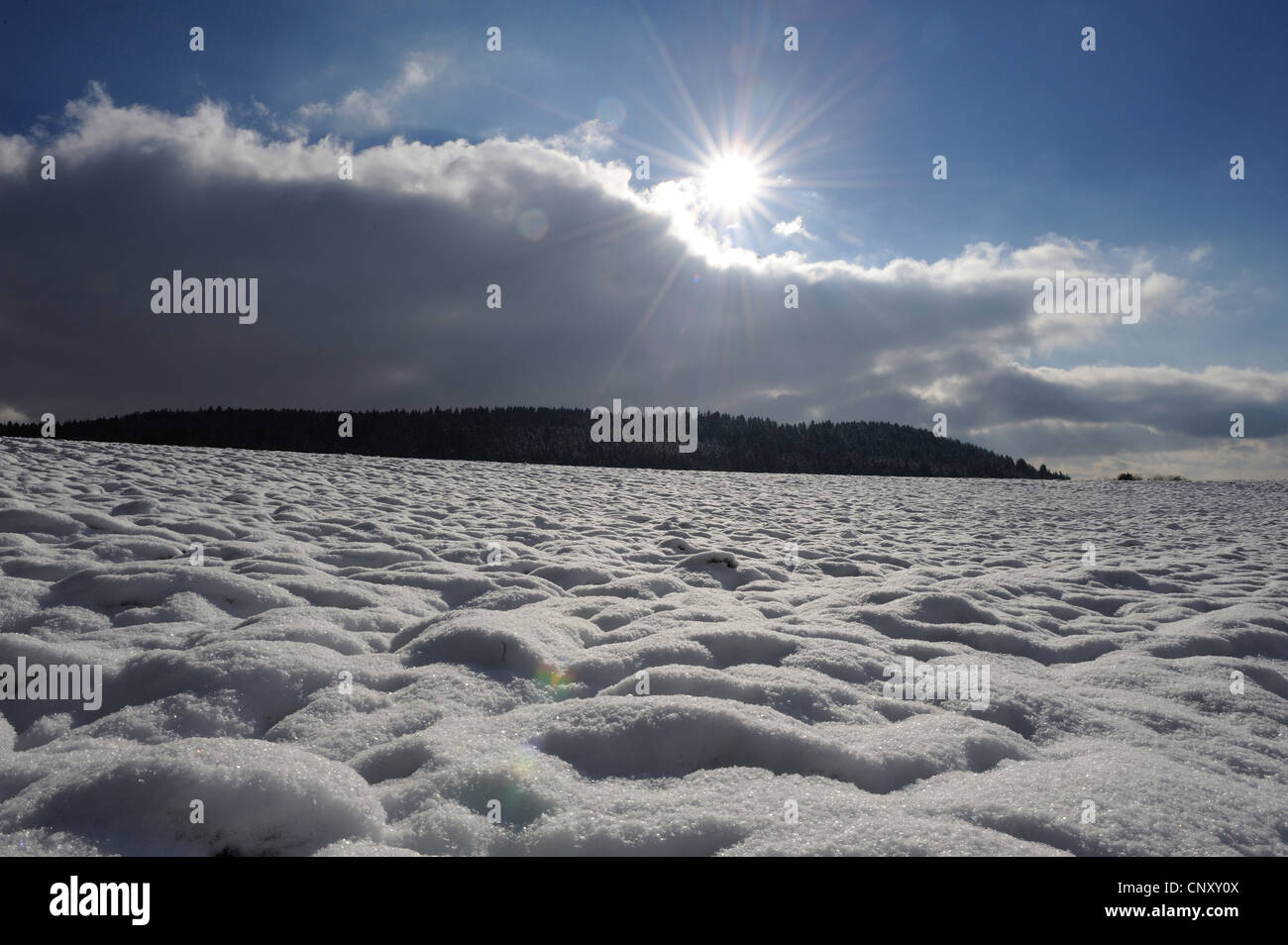 Vaste champ couvert de neige en contre-jour, l'Allemagne, la Bavière Banque D'Images