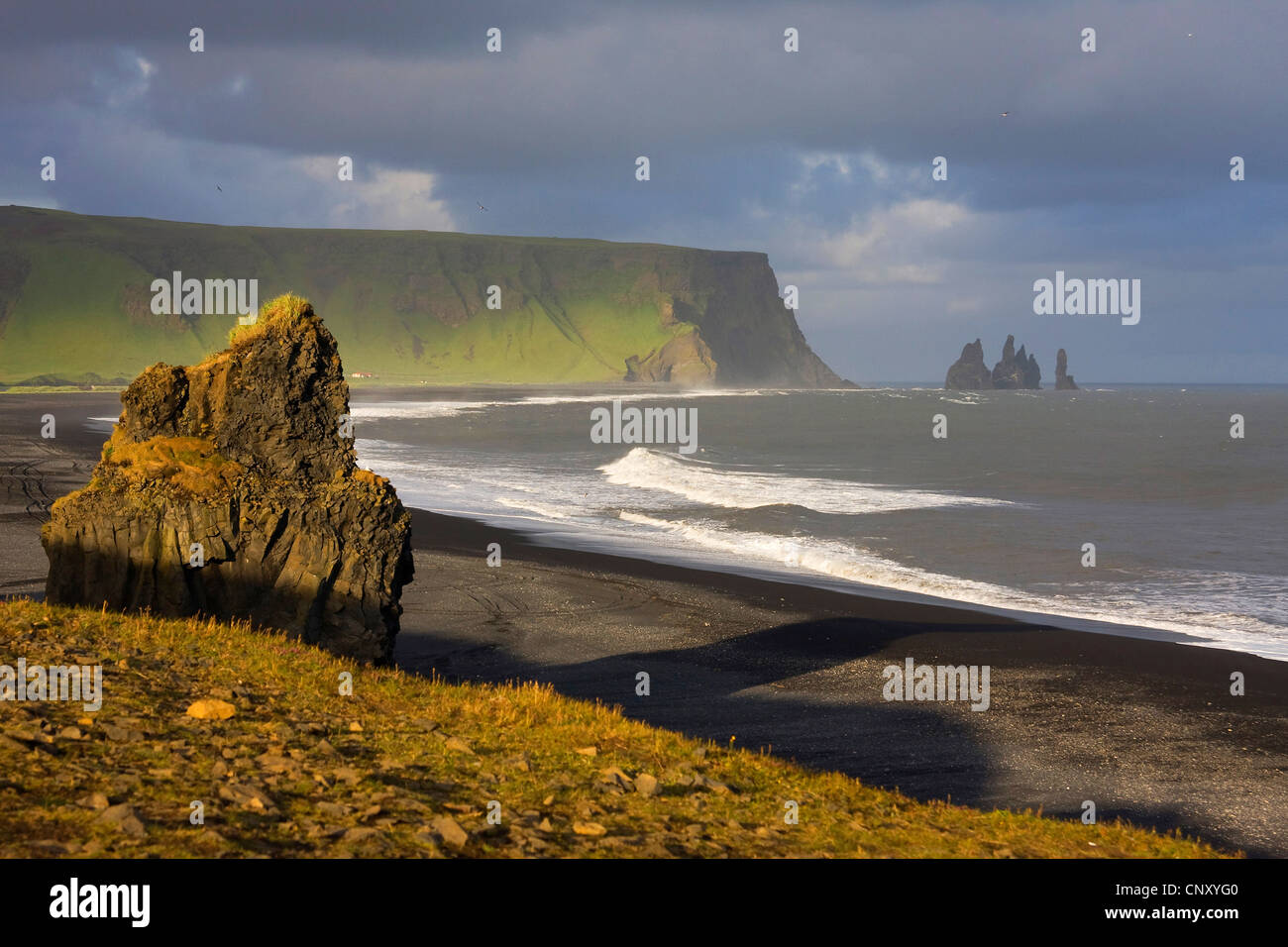 Paysages côtiers du cap Dyrholaey, Islande, Vik Banque D'Images