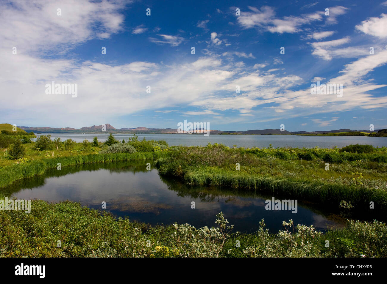 Lac dans la zone de reproduction et de repos, l'Islande Myvatn, 73320 Banque D'Images