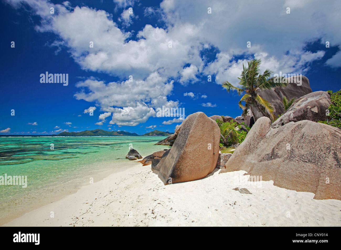 Plage de sable fin avec des palmiers Banque de photographies et d ...