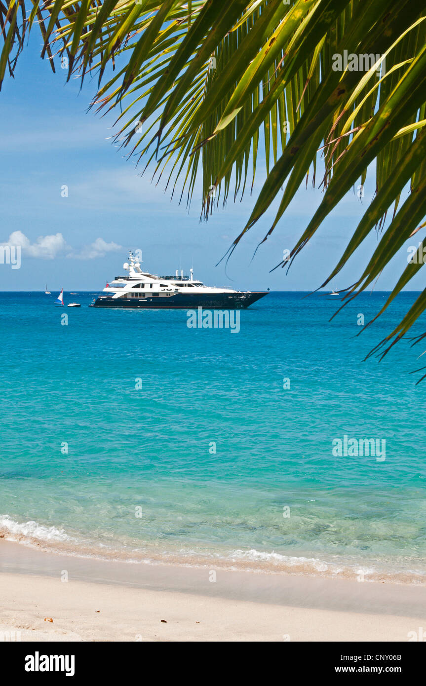 Wuew à partir d'un palm beach à un yacht dans la baie inférieure, Saint Vincent et les Grenadines, Bequia Banque D'Images