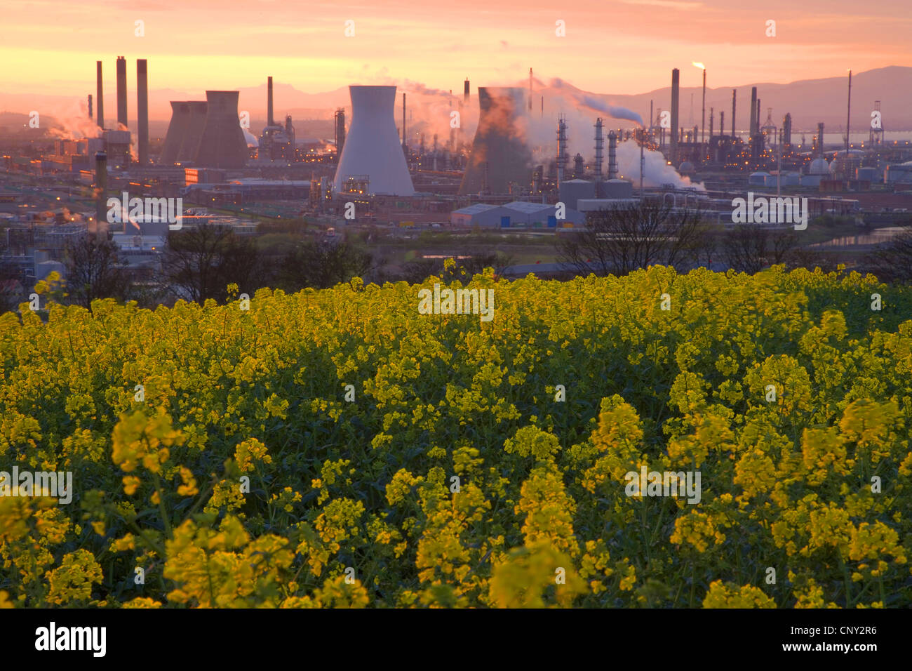 Grangemouth Raffinerie au soir lumière, Royaume-Uni, l'Écosse, Édimbourg Banque D'Images