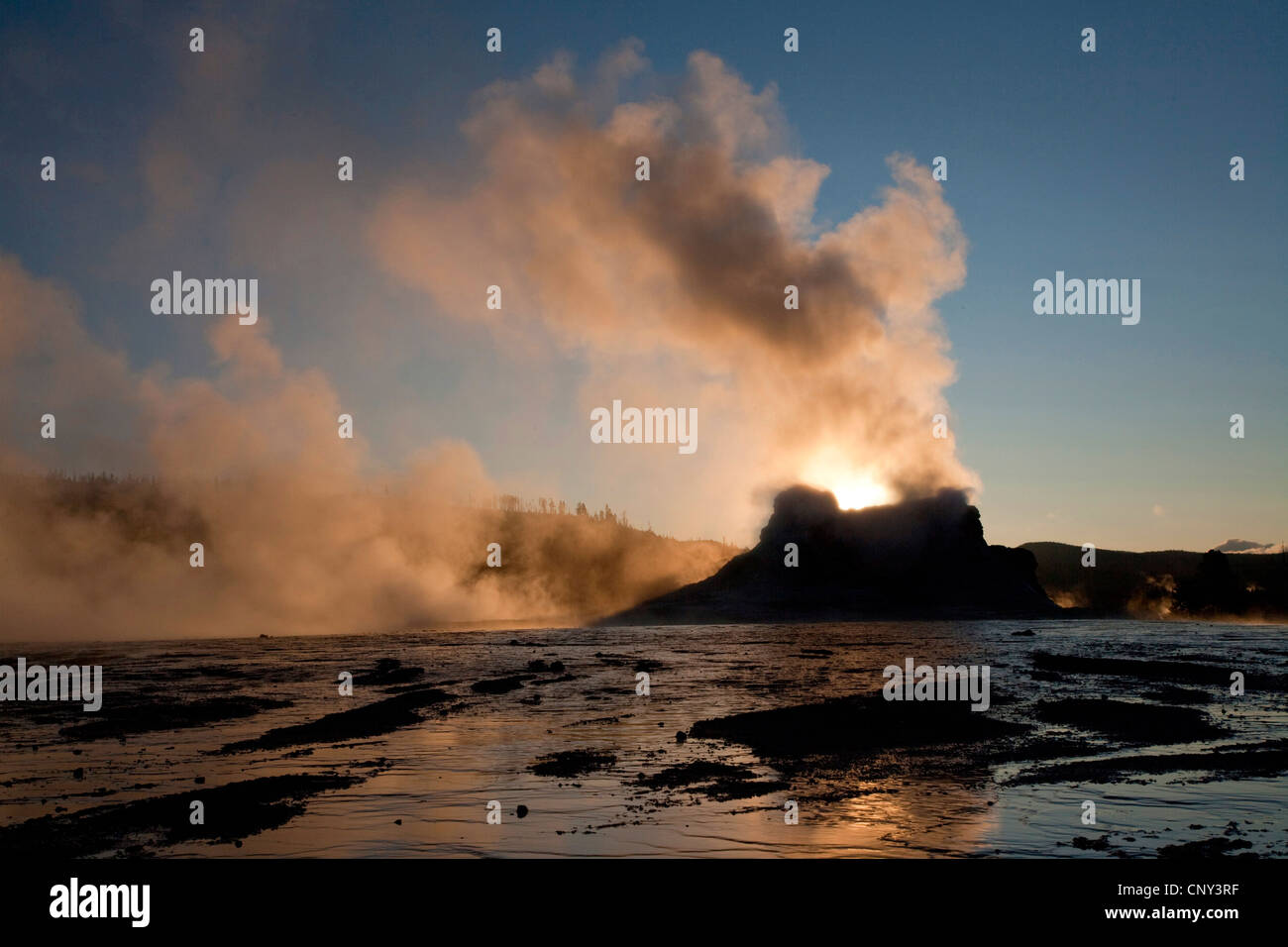 Castle geyser Old Faithful en zone géothermique, USA, Wyoming, Yellowstone National Park Banque D'Images