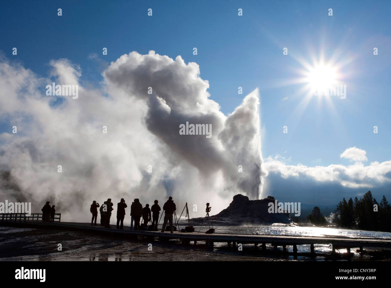 Photographe à erution de château à geyser Old Faithful zone géothermique, USA, Wyoming, Yellowstone National Park Banque D'Images
