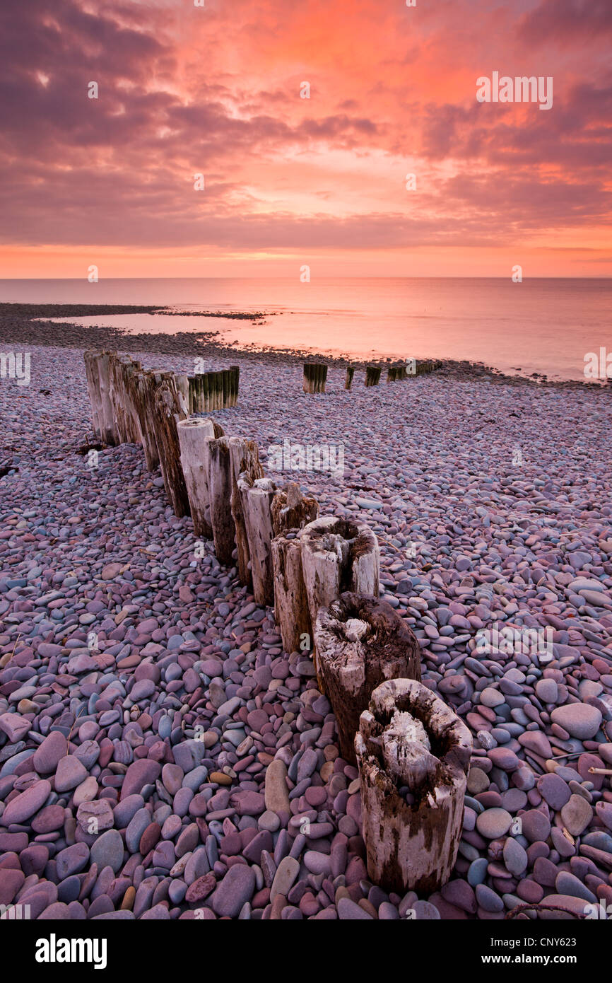 Défenses côtières en bois patiné sur Bossington Beach, parc national d'Exmoor, Somerset, Angleterre Banque D'Images