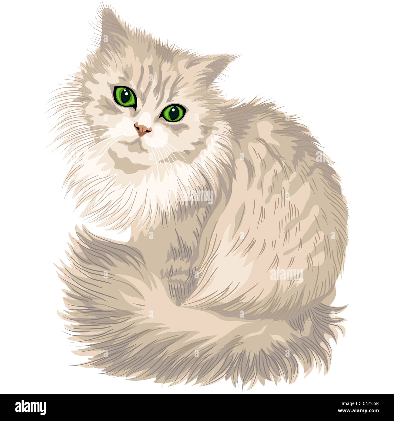 Cute cat lilas avec des yeux verts, isolé sur fond blanc Banque D'Images