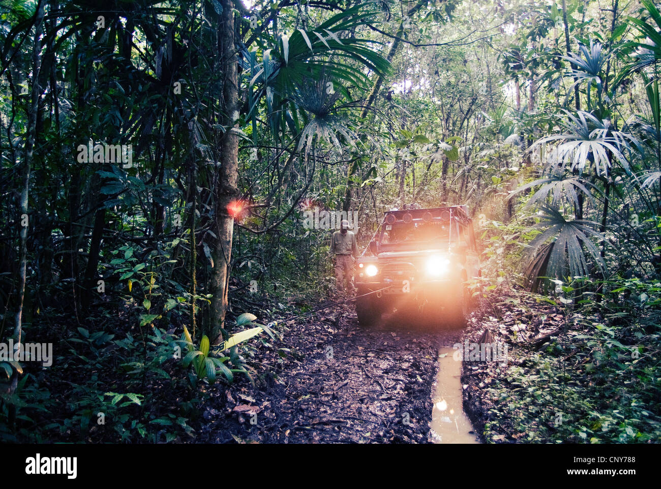 Monkey river trail, Belize Banque D'Images