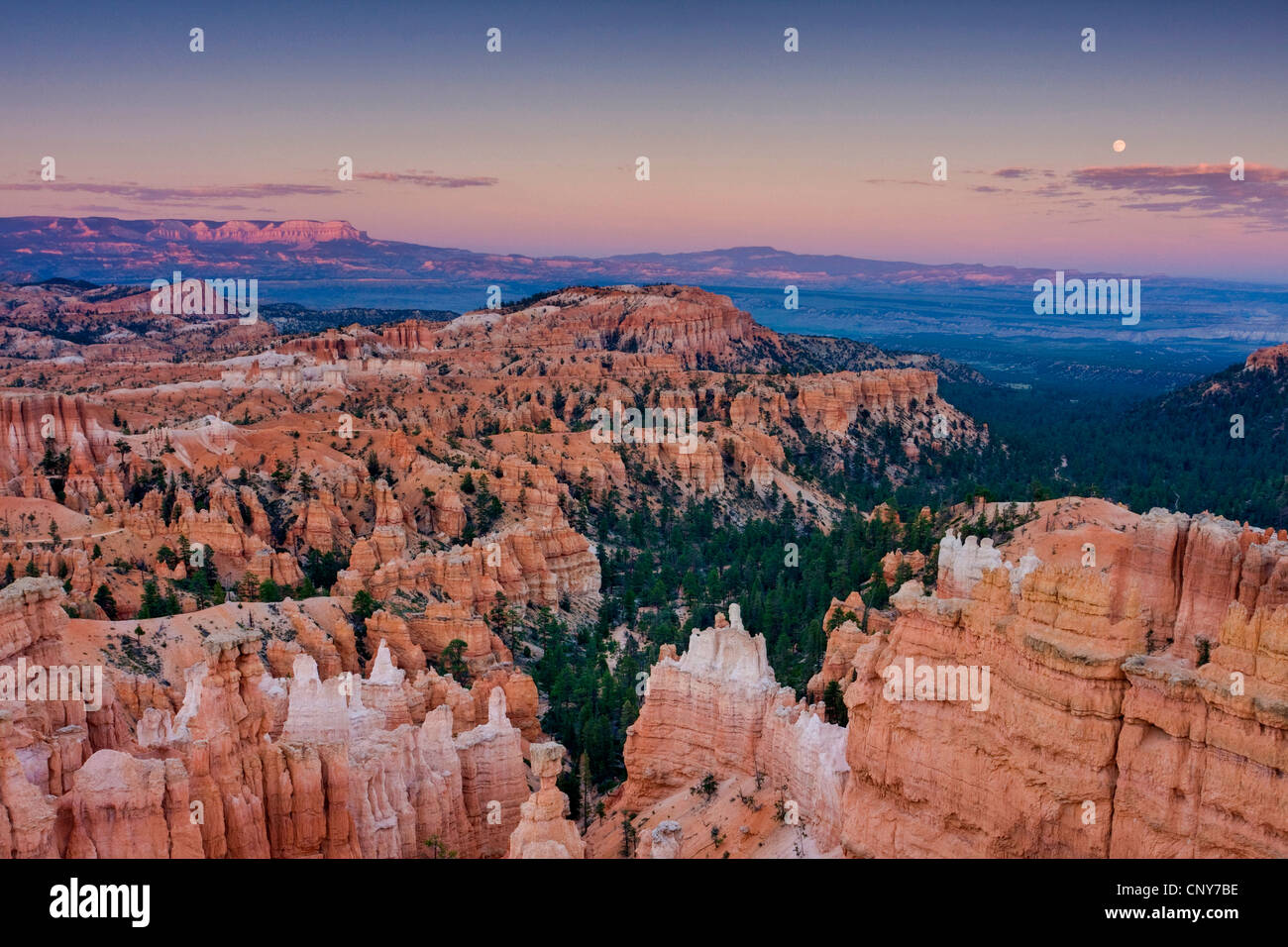 Vue de Bryce amphitheater de Sunset point dans le soleil du soir avec moon, USA, Utah, Bryce Canyon National Park, Colorado Plateau Banque D'Images