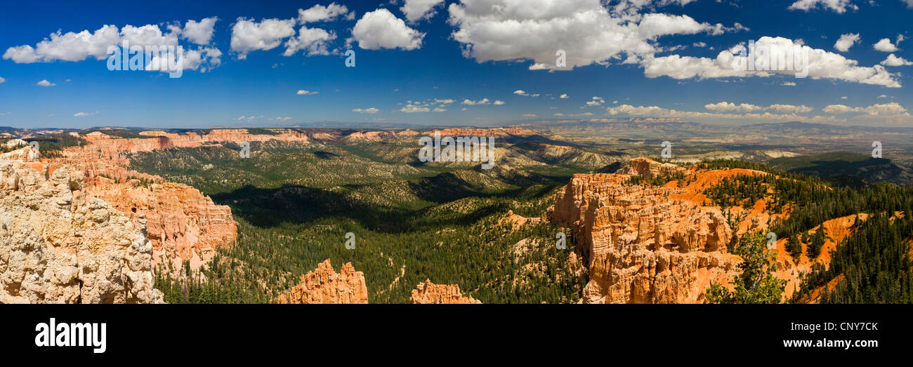 Vue panoramique de Bryce Canyon de Rainbow Point, USA, Utah, Bryce Canyon National Park, Colorado Plateau Banque D'Images