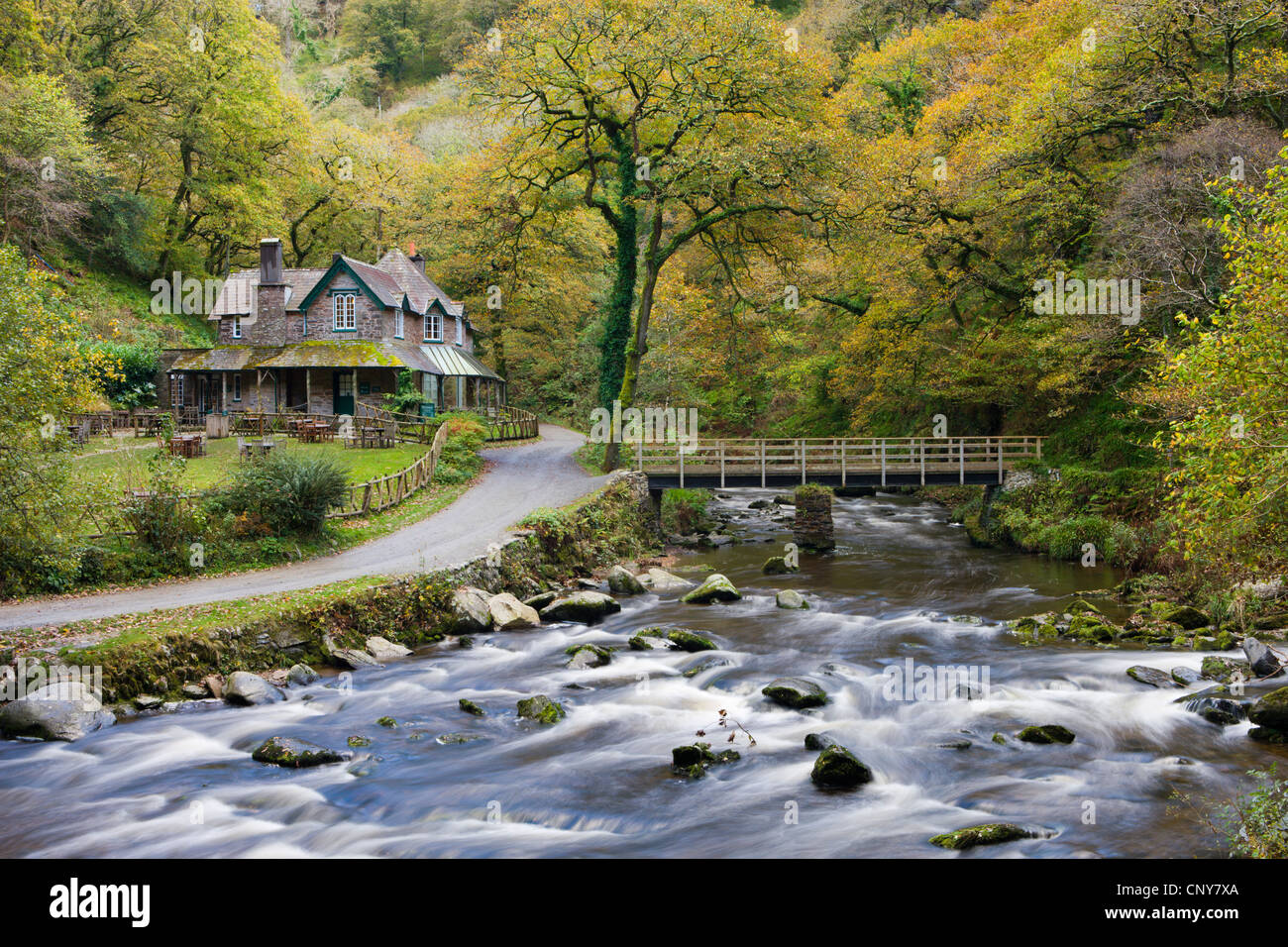 Watersmeet Chambre à l'automne, Exmoor National Park, Devon, Angleterre Banque D'Images