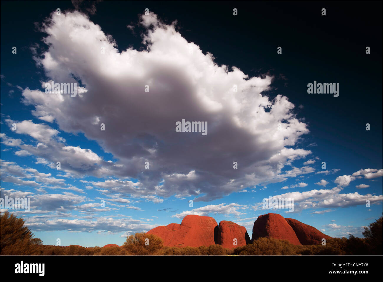 La route à Kata Tjuta, Australie, Territoire du Nord, le Parc National d'Uluru-Kata Tjuta Banque D'Images