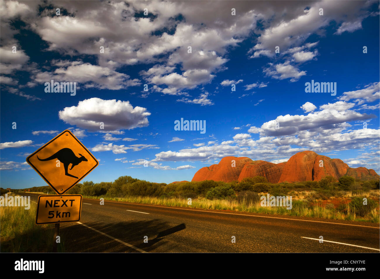 La route à Kata Tjuta, Australie, Territoire du Nord, le Parc National d'Uluru-Kata Tjuta Banque D'Images