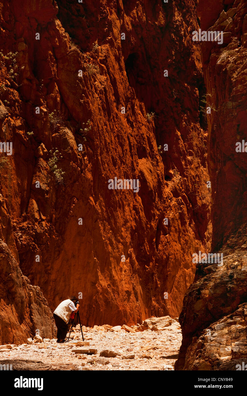 Photographe de la nature dans la spectaculaire gorge rock 'Simpson's Gap' de grès rouge, l'Australie, Territoire du Nord, l'Ouest MacDonnell Nationalpark Banque D'Images