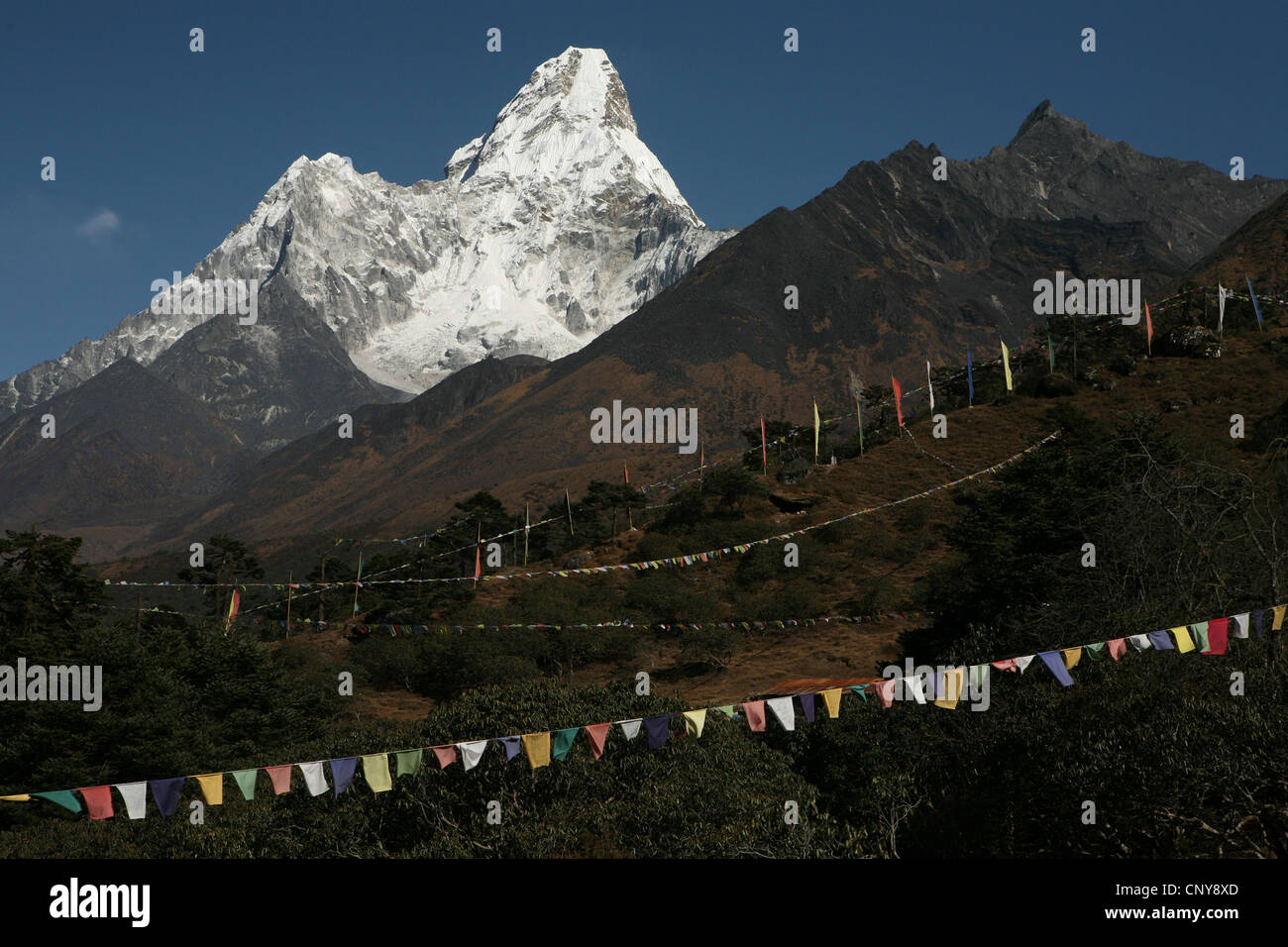 Monter l'Ama Dablam (6 812 m) dans la région de Khumbu dans l'Himalaya, au Népal. Vue du Monastère de Tengboche. Banque D'Images Monter l'Ama Dablam (6 812 m) dans la région de Khumbu dans l'Himalaya, au Népal. Vue du Monastère de Tengboche. Banque D'Images