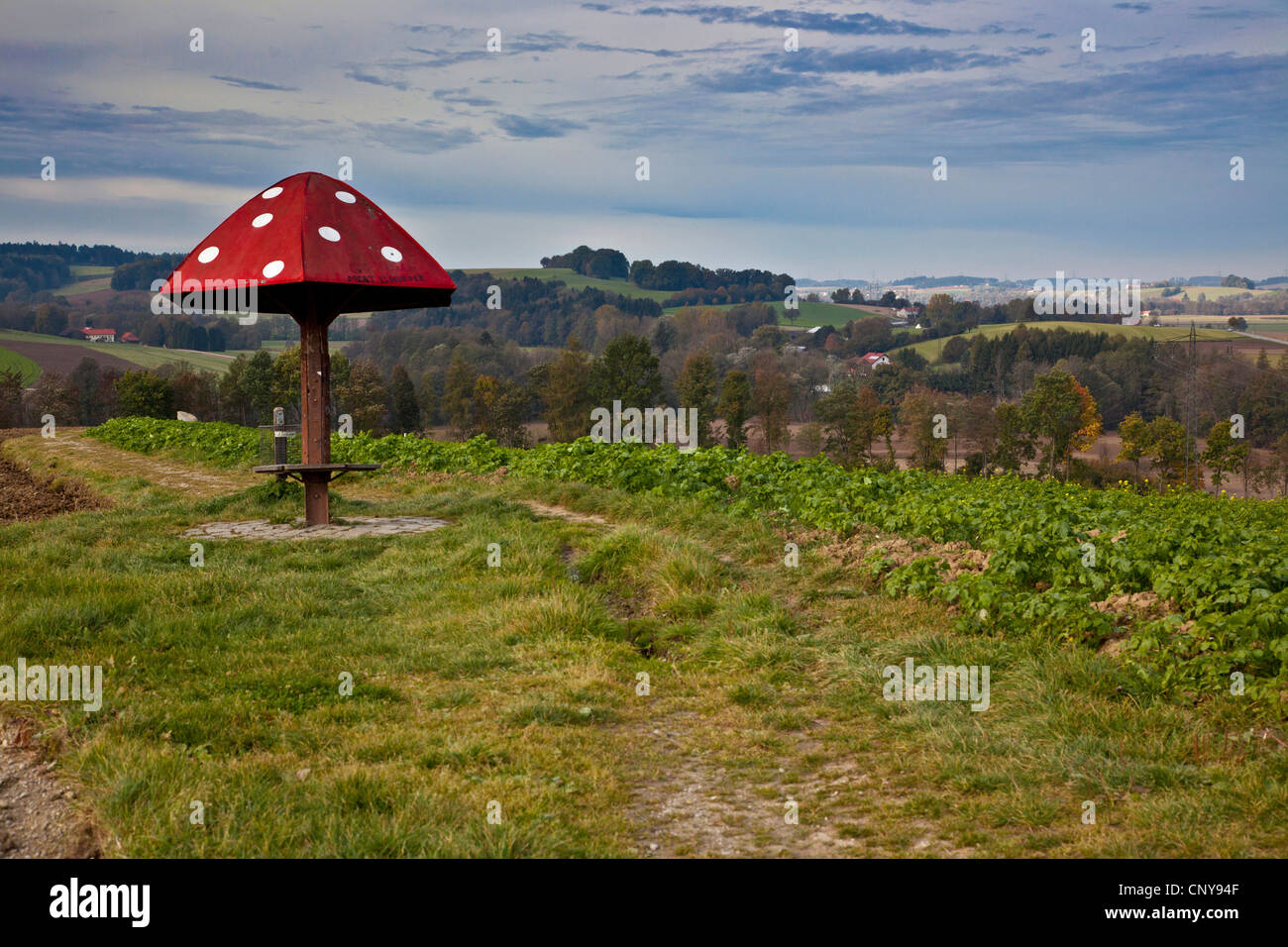 Un abri pour les randonneurs inspirée de l'agaric de mouche sur une crête de collines entre les champs, Allemagne, Bavière, Isental, Dorfen Banque D'Images