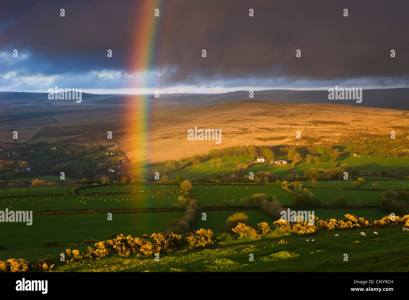 Rainbow au-dessus de terres agricoles vallonnées sur les bords de Dartmoor National Park, Devon, Angleterre. Printemps (avril 2009) Banque D'Images