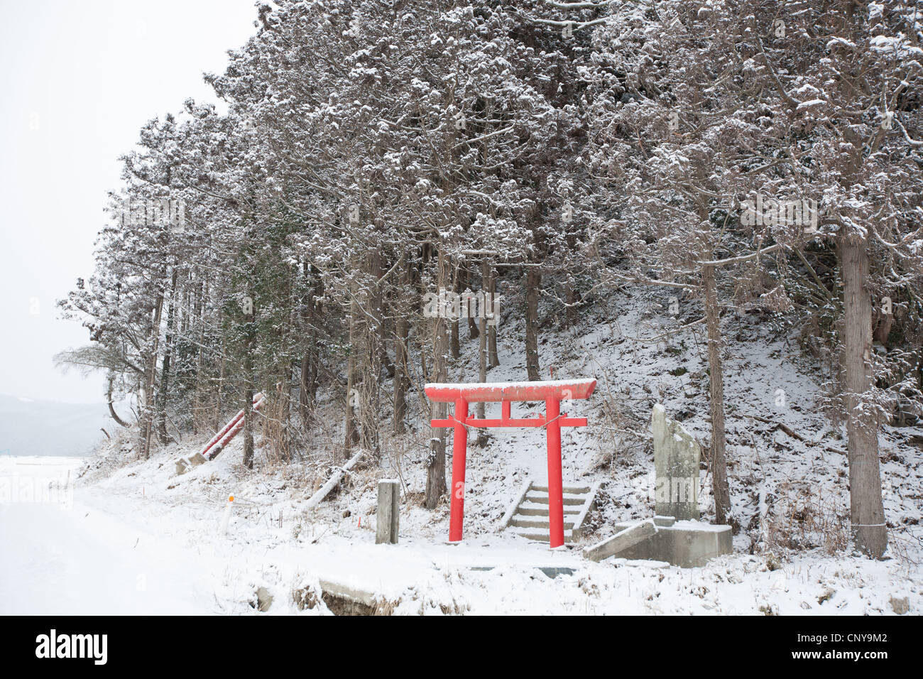 Un temple shinto Torii se trouve dans la neige, près de l'Okawa school, où 74 enfants et 10 enseignants ont perdu la vie, Japon Banque D'Images