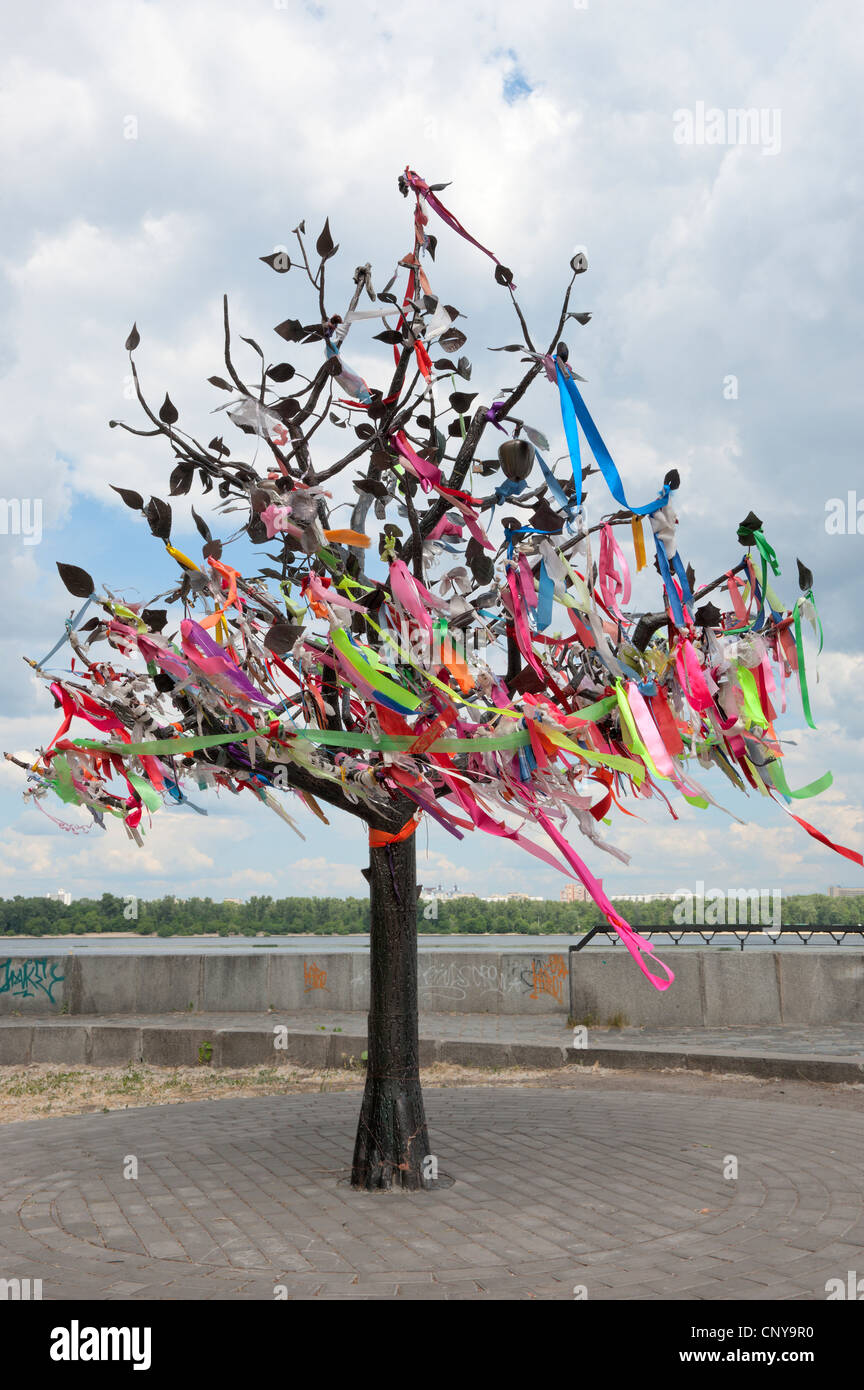 Arbre des désirs, Kiev, Ukraine, l'Europe. Banque D'Images
