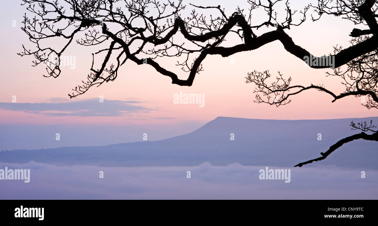 Mynydd Troed s'élevant au-dessus de la montagne une vallée remplie de brouillard à l'aube, Brecon Beacons, Powys, Wales, UK. Au printemps 2010. Banque D'Images Mynydd Troed s'élevant au-dessus de la montagne une vallée remplie de brouillard à l'aube, Brecon Beacons, Powys, Wales, UK. Au printemps 2010. Banque D'Images