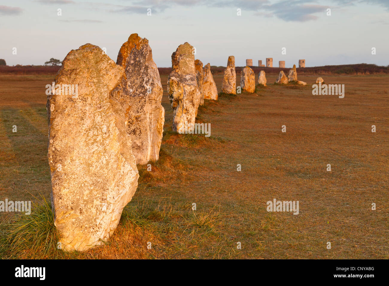 Les pierres dans les alignements de Lagatjar, à la périphérie de Camaret-sur-Mer, Bretagne, France. Shallow DOF, accent sur près de pierre. Banque D'Images