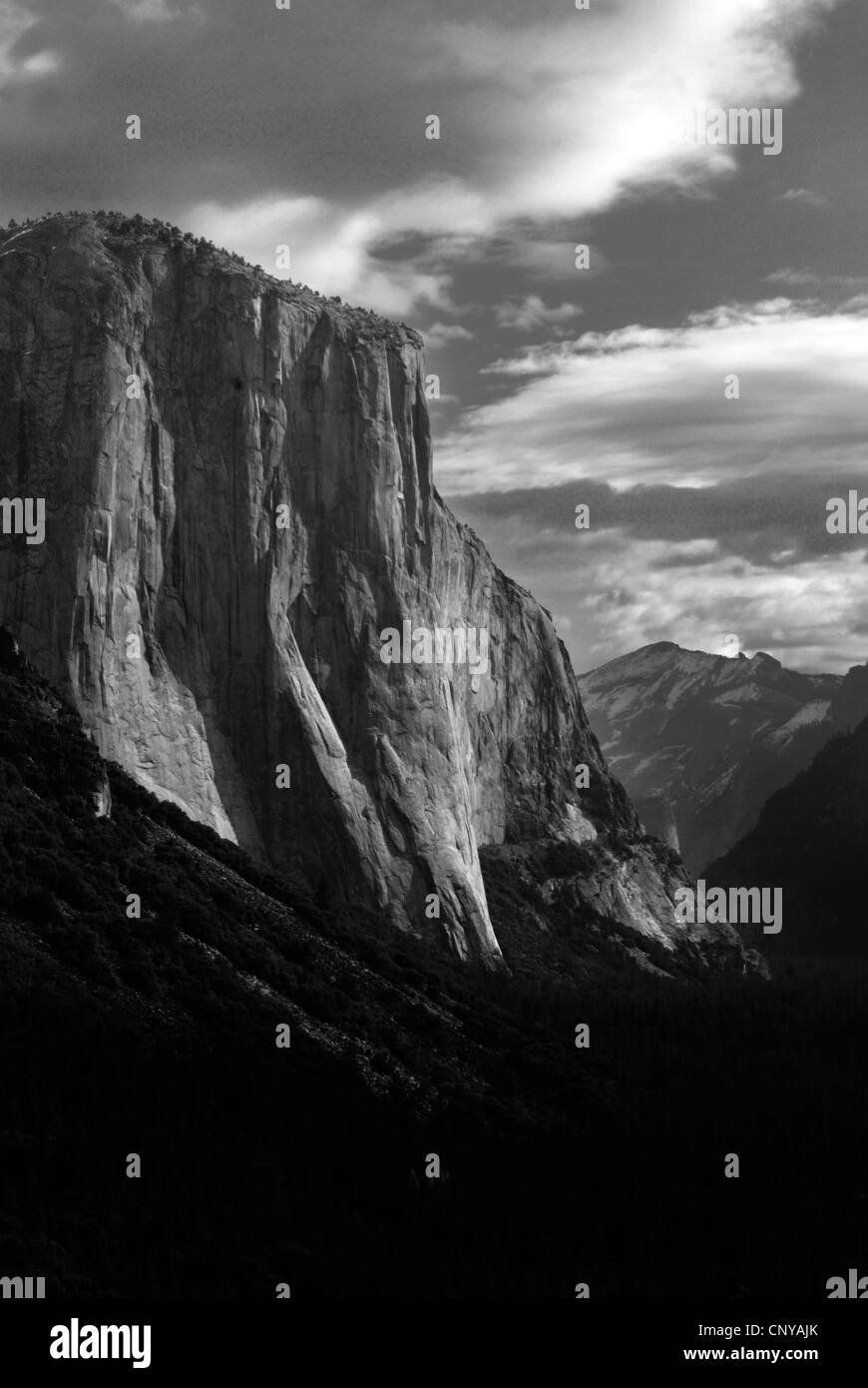 El Capitan, Yosemite Valley, Yosemite National Park, lumière du matin, noir et blanc,belle, beauté, black, concept, la forêt Banque D'Images