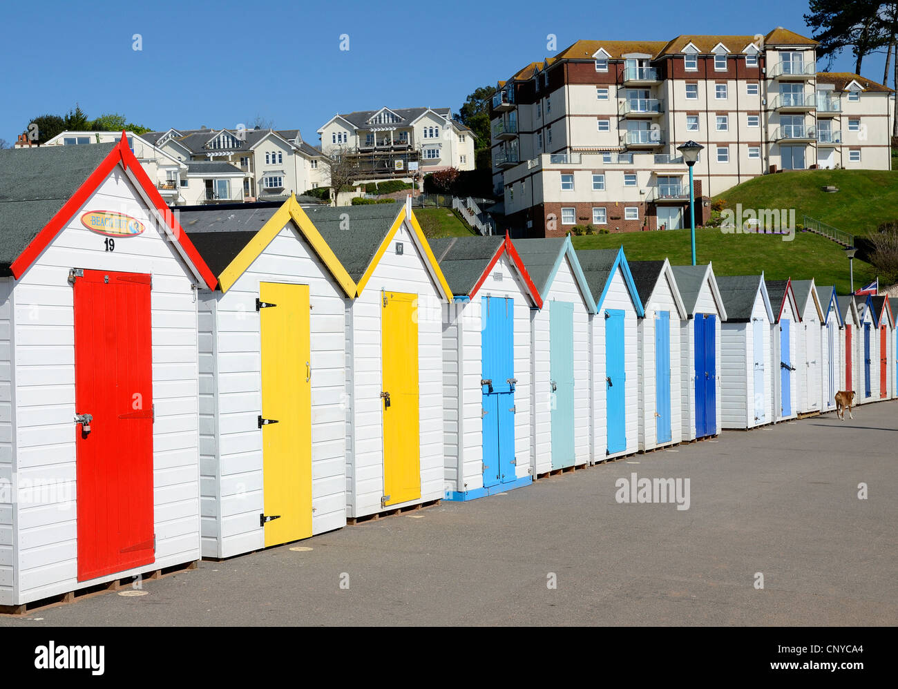 Cabines colorées à près de goodrington sands paignton devon uk Banque D'Images