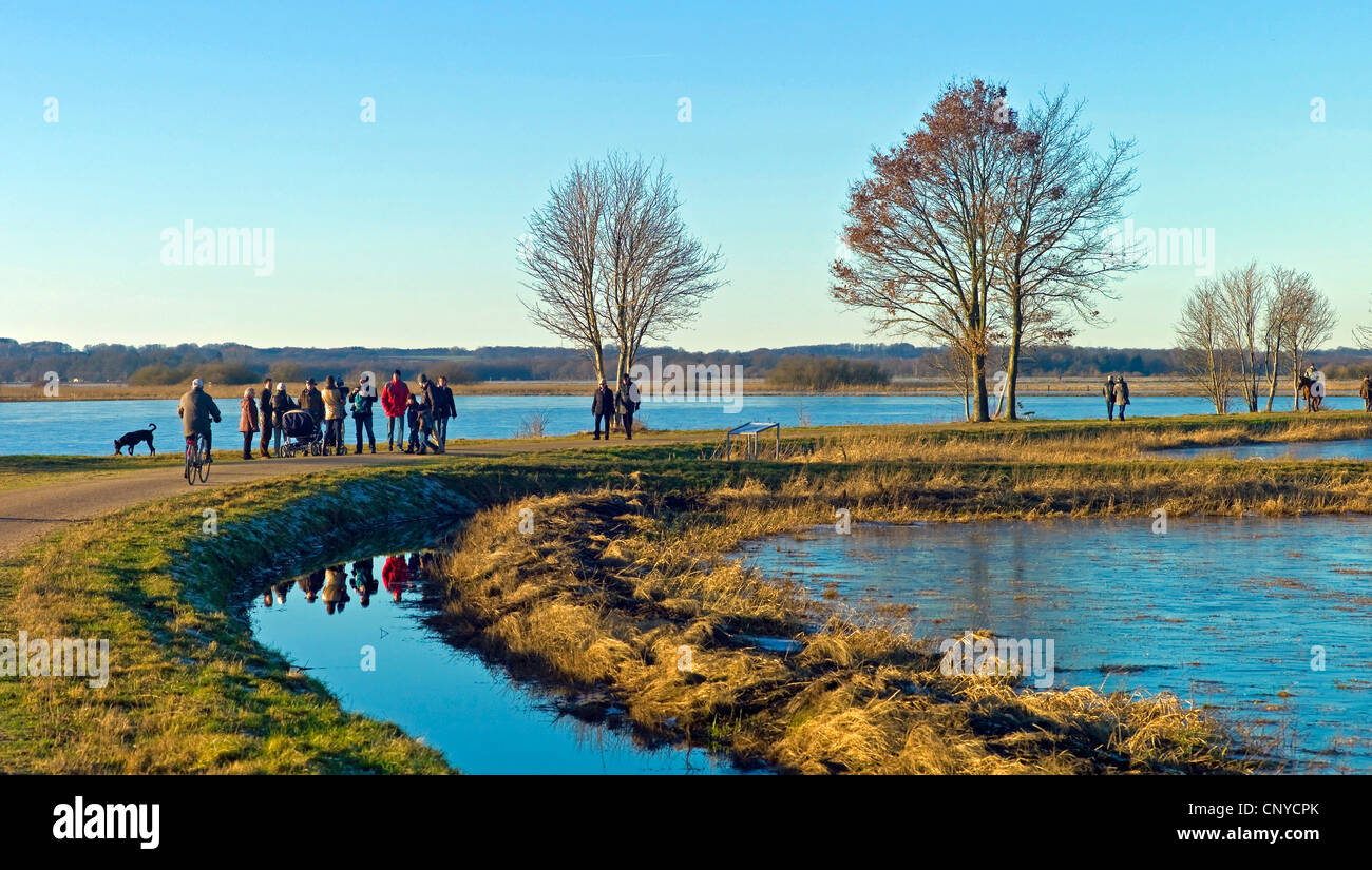 Près de prairies inondées rivière Hamme, ALLEMAGNE, Basse-Saxe, Osterholz, Worpswede Banque D'Images