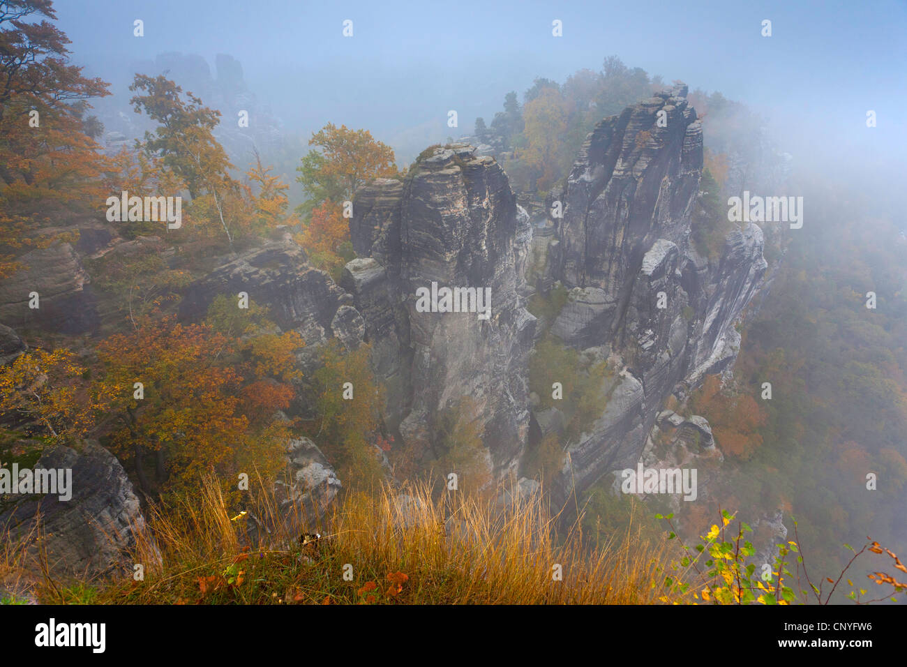 Bastei rock formation près de Rathen, Allemagne, la Saxe, le Parc National de la Suisse saxonne Banque D'Images