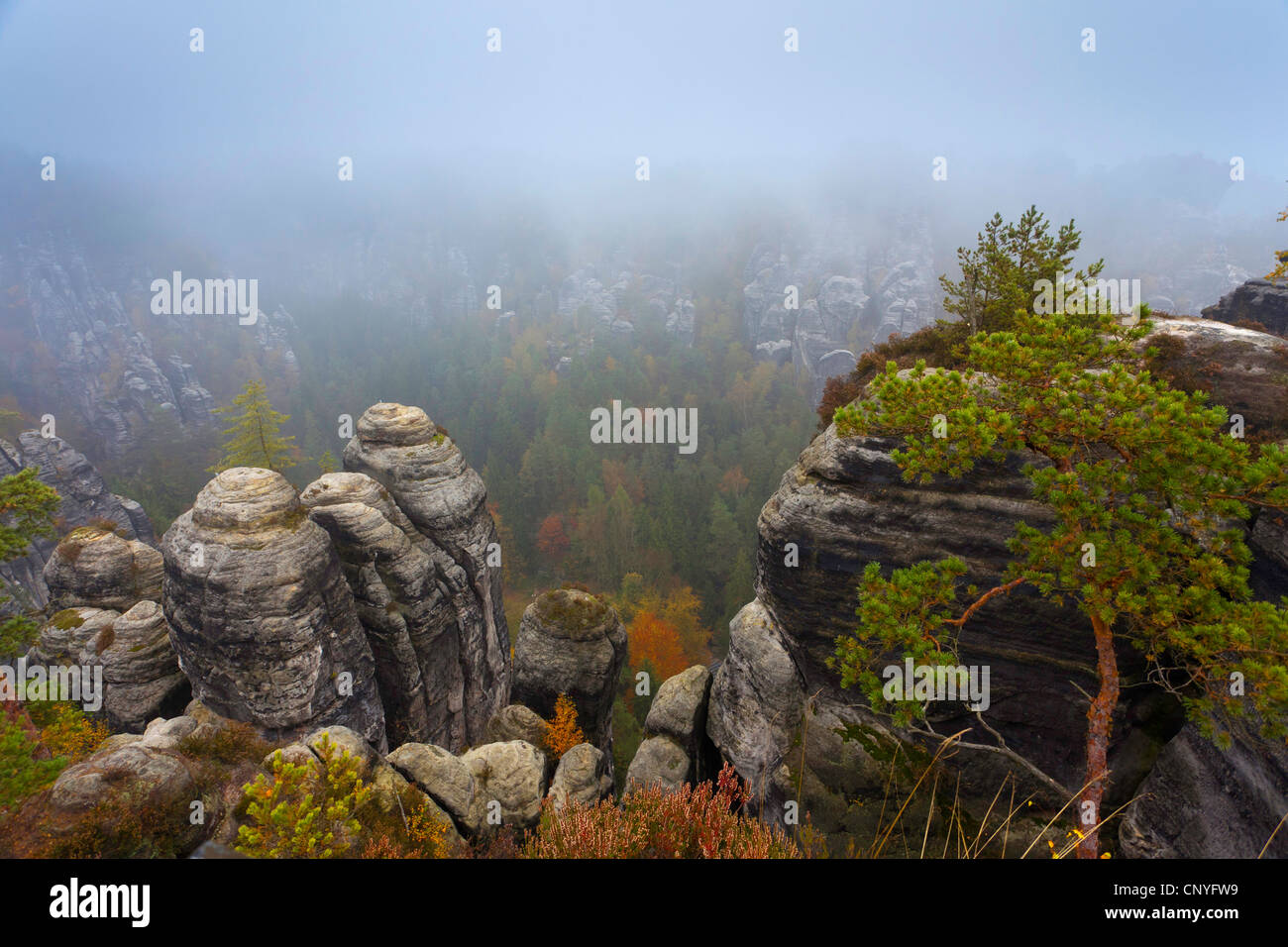 Bastei rock formation près de Rathen, Allemagne, la Saxe, le Parc National de la Suisse saxonne Banque D'Images