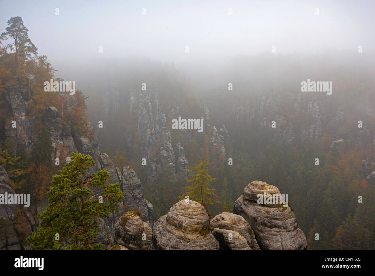Bastei rock formation dans le brouillard du matin, l'Allemagne, la Saxe, le Parc National de la Suisse saxonne Banque D'Images
