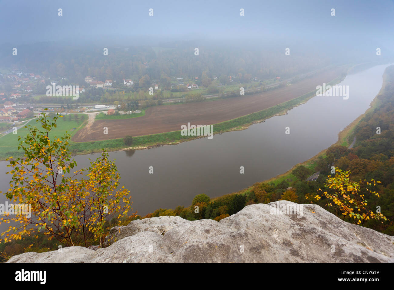 Voir à partir de la Bastei à Elbe dans le brouillard du matin, l'Allemagne, la Saxe, le Parc National de la Suisse Saxonne, Rathen Banque D'Images