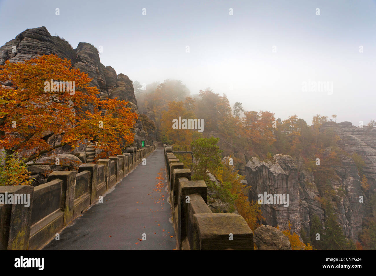 Formation rocheuse Bastei et Bastei pont dans le brouillard du matin, l'Allemagne, la Saxe, le Parc National de la Suisse Saxonne, Rathen Banque D'Images