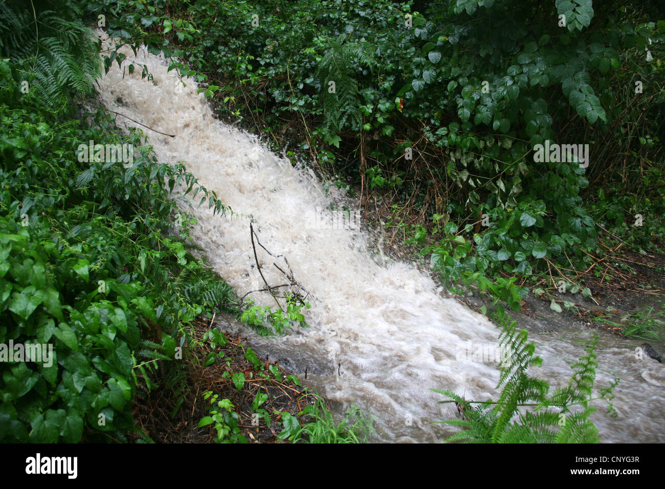 Masse de l'injection d'eau de pluie d'un bassin de rétention, Allemagne, Rhénanie du Nord-Westphalie Banque D'Images