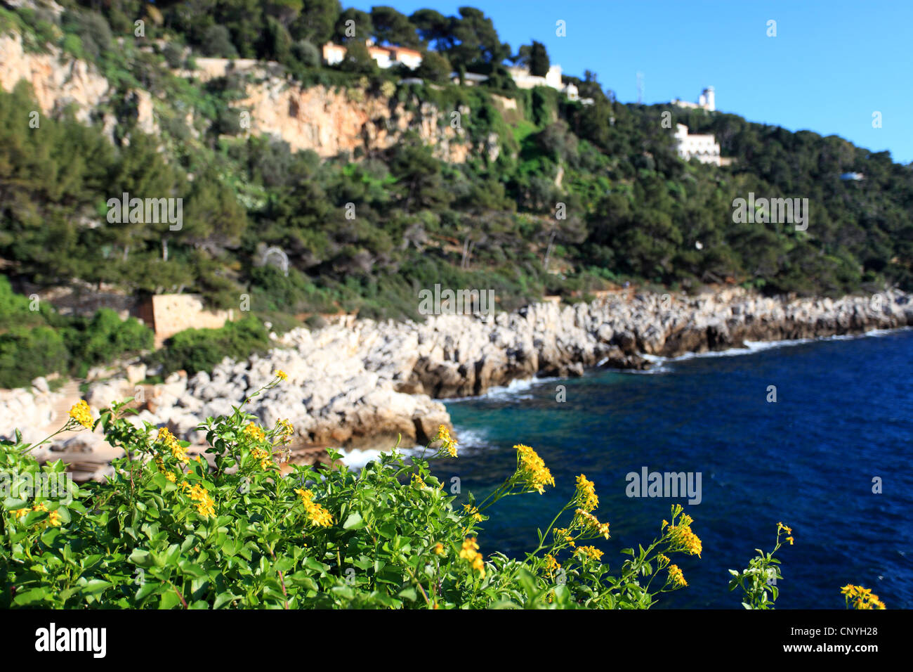 Sentier naturel le long du Cap Ferrat avec végétation méditerranéenne Banque D'Images