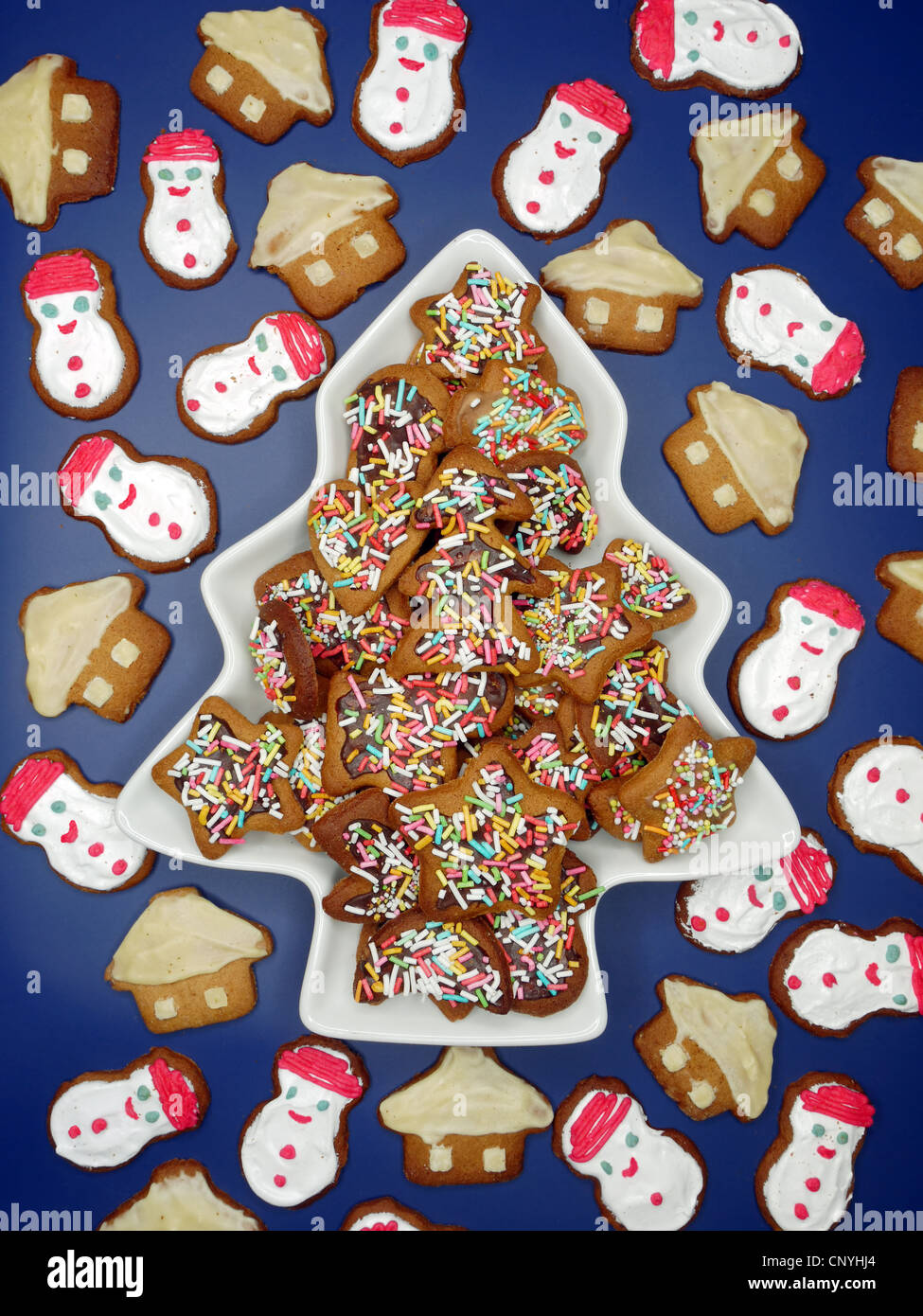 Des formes variées de gingerbread cookies shot de dessus sur fond bleu foncé Banque D'Images