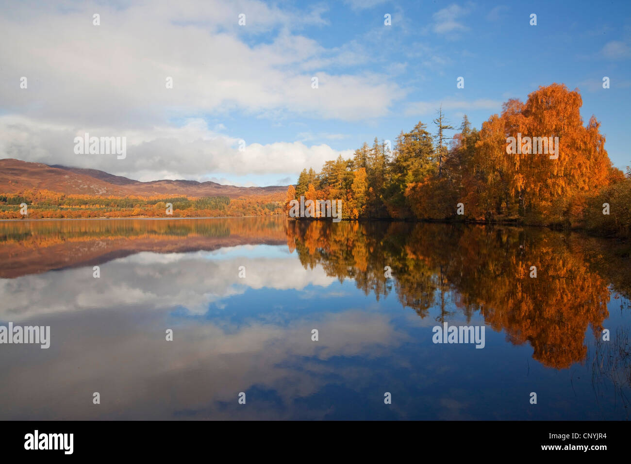 Loch Alvie en automne, Royaume-Uni, Ecosse, le Parc National de Cairngorms Banque D'Images