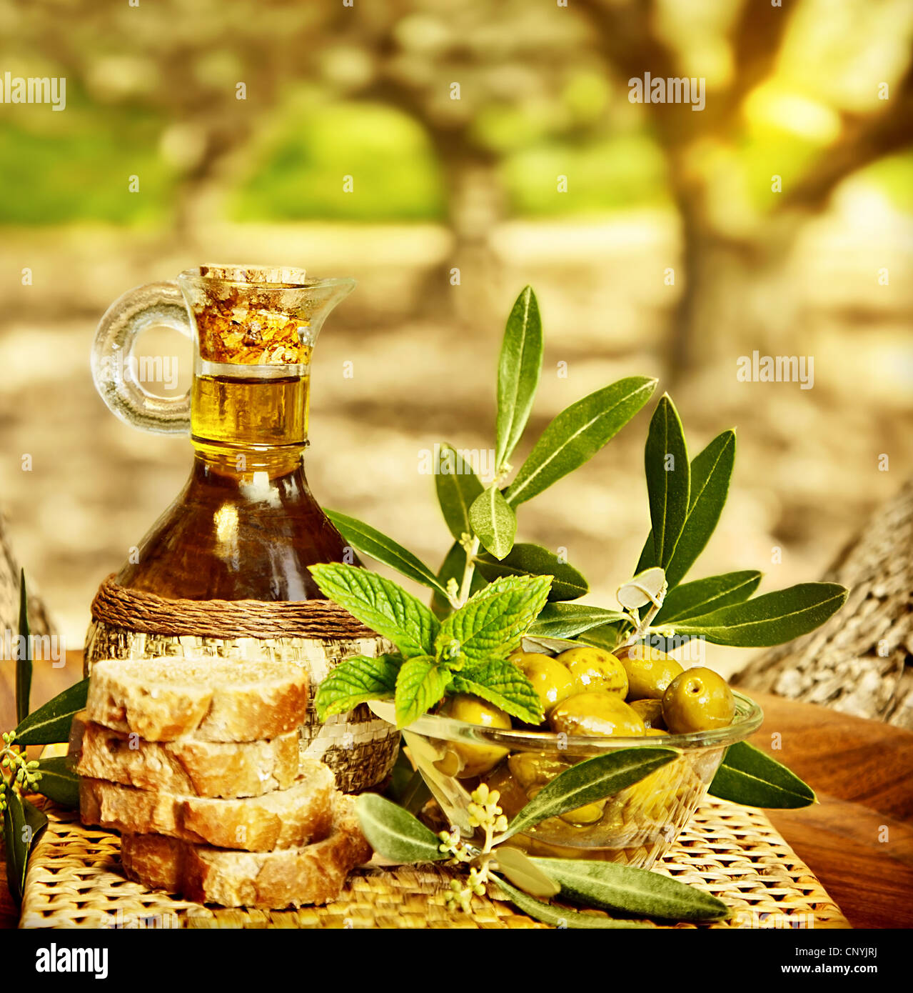 La vie encore Olives, aliments frais dans jardin d'oliviers, de bonne santé l'huile d'olive et du pain, le temps de la récolte Banque D'Images